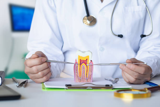 Best Emergency Gum Treatment in Rogers, MN